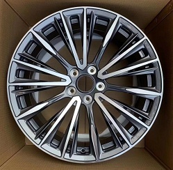 Toyota Lexus GMW JX0100